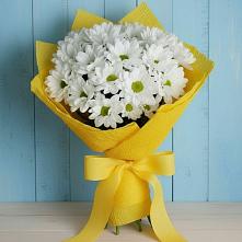 Букет цветов из:  Хризантемы #REPLACE_PRED# Новобелокатай