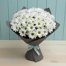 Букет цветов из:  Хризантемы в Новобелокатай