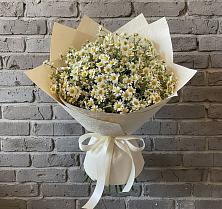 Букет цветов из:  Ромашки в Новобелокатай