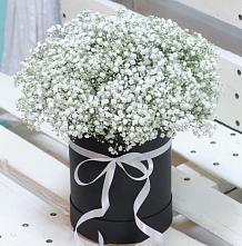 Цветочная композиция из Гипсофила в шляпной коробке #REPLACE_PRED# Новобелокатай