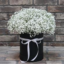 Цветочная композиция из Гипсофила в шляпной коробке #REPLACE_PRED# Новобелокатай