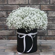 Цветочная композиция из Гипсофила в шляпной коробке в Новобелокатай